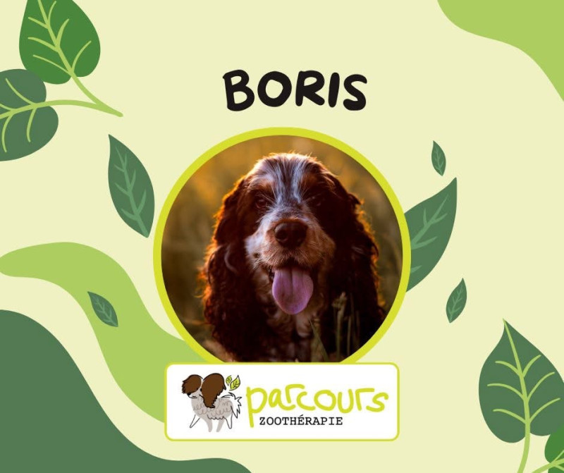 Photo de Boris, partenaire de Andréanne Simard-Dionne