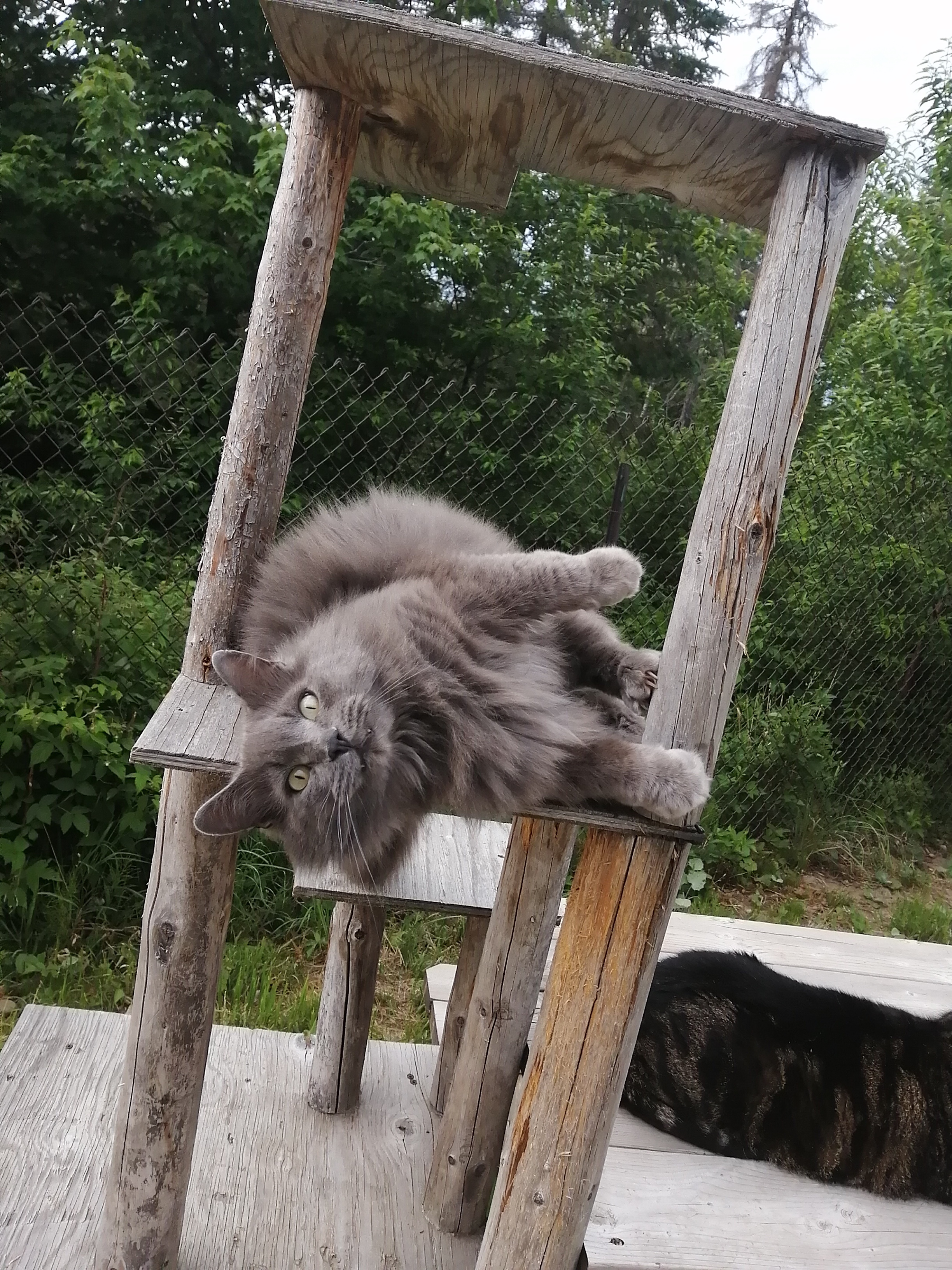 Photo de Rocky, partenaire de France Cardin